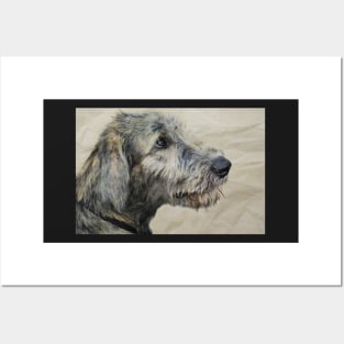 Irish Wolfhound Puppy Posters and Art